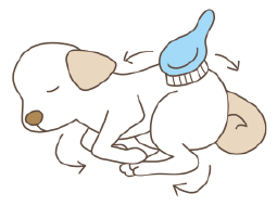 臨終後、安らかな姿で 安置して下さい